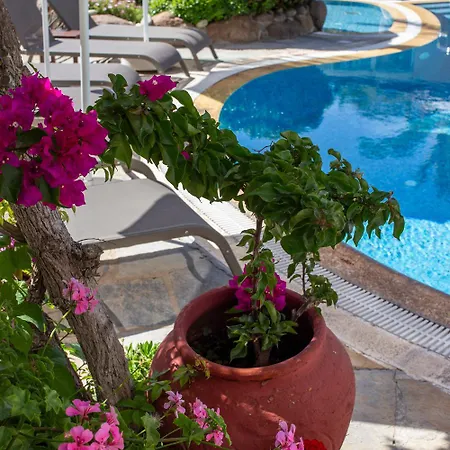 Hotel Uzhan 2*
