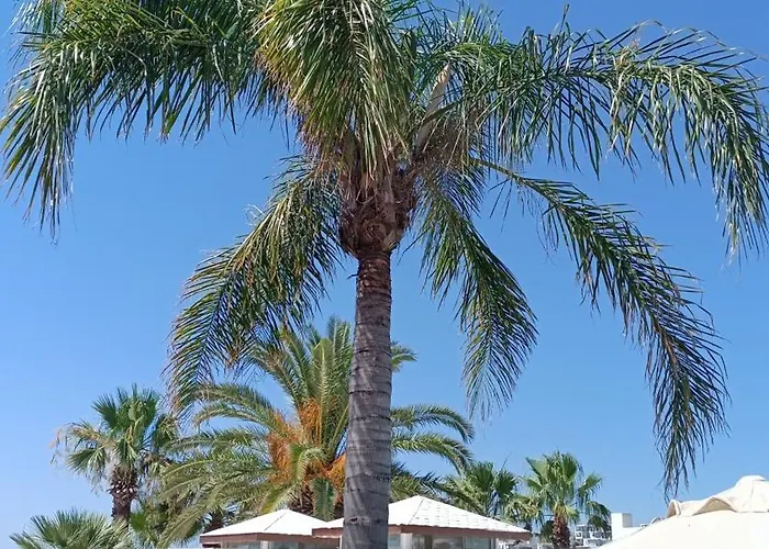 Uzhan Hotel
